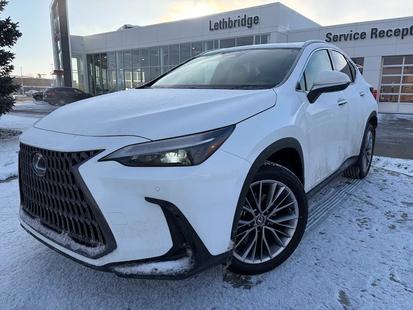 2026 Lexus NX 350