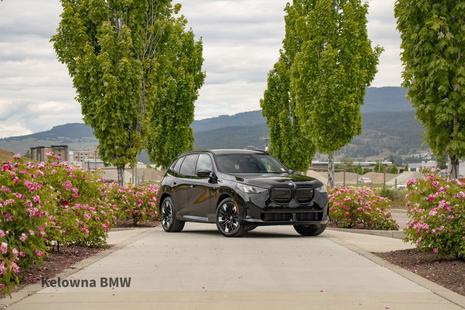 2025 BMW X3